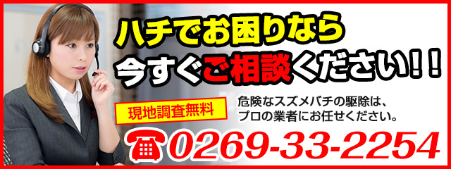 ハチでお困りなら今すぐご連絡ください