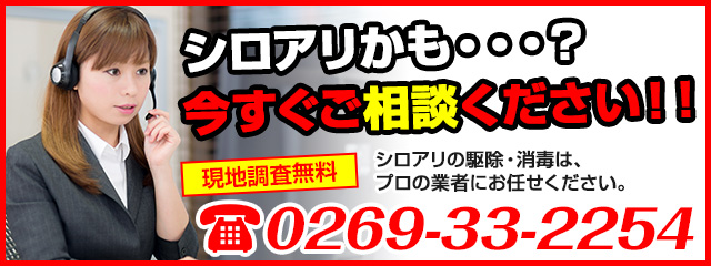 シロアリも・・・今すぐご連絡ください